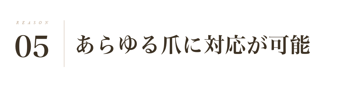 理由5: あらゆる爪に対応が可能