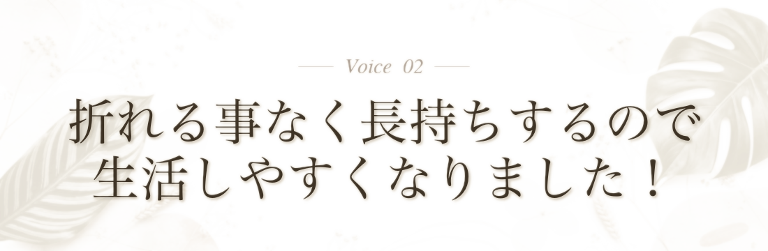 Voice 2