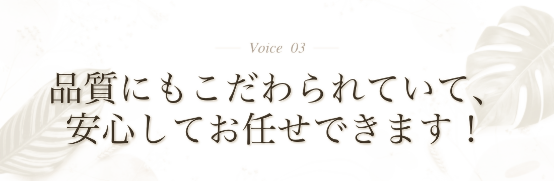 Voice 3